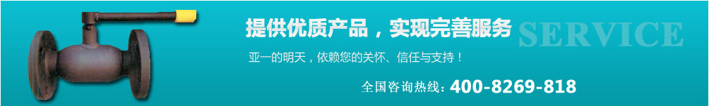 提供優(yōu)質(zhì)產(chǎn)品/實現(xiàn)一流服務